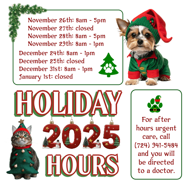 Pvvc 2025 Holiday Pop Up