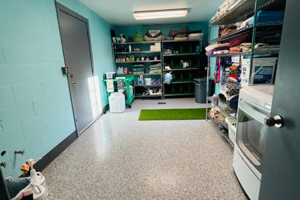 small room with items stocked on shelves for the kennel