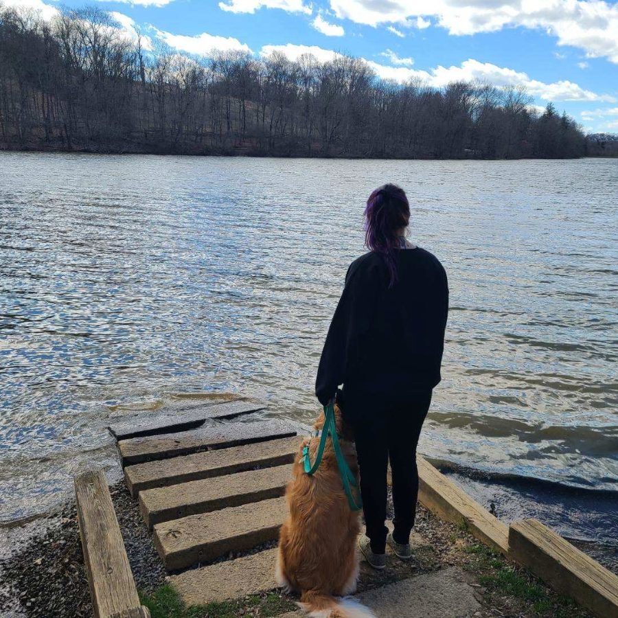 Alex Dog Trainer standing at edge of lake with a dog